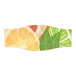 Citrus Fruit Healthy Vitamin Stretchable Headband