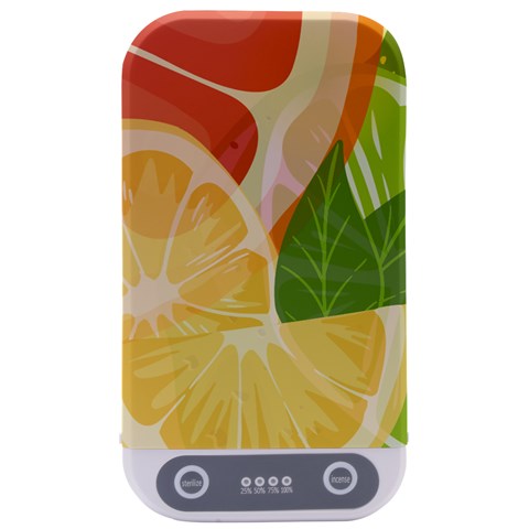 Citrus Fruit Healthy Vitamin Sterilizers from ArtsNow.com Front