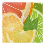 Citrus Fruit Healthy Vitamin Banner and Sign 3  x 3 