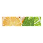 Citrus Fruit Healthy Vitamin Banner and Sign 4  x 1 