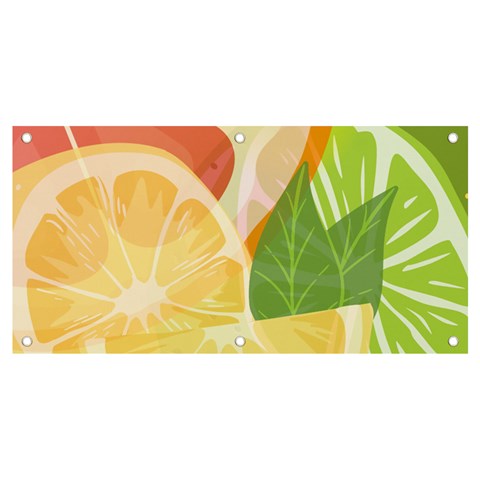 Citrus Fruit Healthy Vitamin Banner and Sign 4  x 2  from ArtsNow.com Front