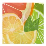 Citrus Fruit Healthy Vitamin Banner and Sign 4  x 4 