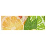 Citrus Fruit Healthy Vitamin Banner and Sign 6  x 2 