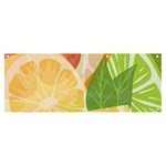 Citrus Fruit Healthy Vitamin Banner and Sign 8  x 3 