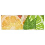 Citrus Fruit Healthy Vitamin Banner and Sign 12  x 4 