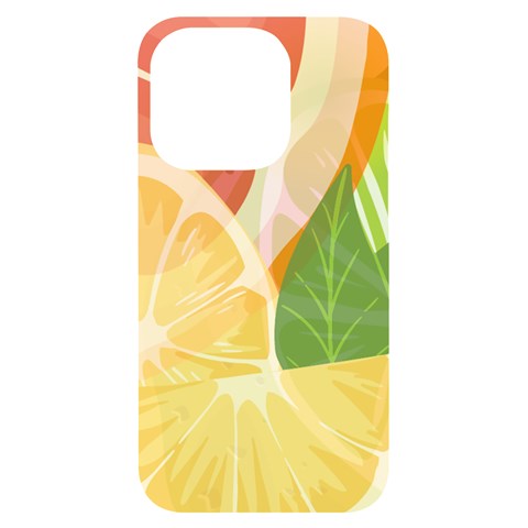 Citrus Fruit Healthy Vitamin iPhone 14 Pro Black UV Print PC Hardshell Case from ArtsNow.com Front