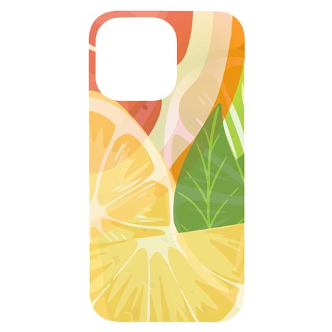 Citrus Fruit Healthy Vitamin iPhone 14 Pro Max Black UV Print PC Hardshell Case from ArtsNow.com Front