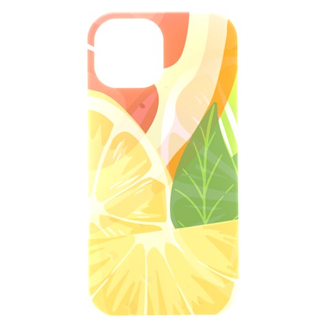 Citrus Fruit Healthy Vitamin iPhone 15 Black UV Print PC Hardshell Case from ArtsNow.com Front