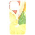 Citrus Fruit Healthy Vitamin iPhone 15 Pro Max Black UV Print PC Hardshell Case