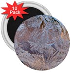 Window Pattern Winter Frost 3  Magnets (10 pack) 