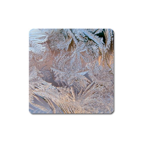 Window Pattern Winter Frost Square Magnet from ArtsNow.com Front