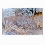 Window Pattern Winter Frost Postcards 5  x 7  (Pkg of 10)