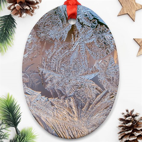 Window Pattern Winter Frost Oval Ornament (Two Sides) from ArtsNow.com Front