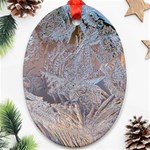 Window Pattern Winter Frost Oval Ornament (Two Sides)