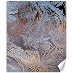 Window Pattern Winter Frost Canvas 8  x 10 