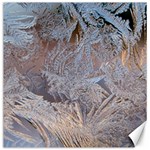 Window Pattern Winter Frost Canvas 12  x 12 