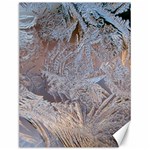 Window Pattern Winter Frost Canvas 12  x 16 