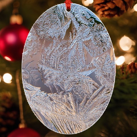 Window Pattern Winter Frost UV Print Acrylic Ornament Oval from ArtsNow.com Front