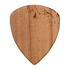 Window Pattern Winter Frost Wood Guitar Pick (Set of 10) from ArtsNow.com Front