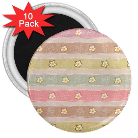 stripes floral designs 3  Magnets (10 pack)  from ArtsNow.com Front