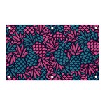 Summer Pineapples Banner and Sign 5  x 3 