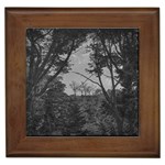 Patagonia Forest, Nahuel Huapi National Park, Rio Negro, Argentina Framed Tile