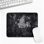 Patagonia Forest, Nahuel Huapi National Park, Rio Negro, Argentina Small Mousepad