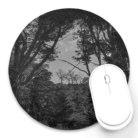 Patagonia Forest, Nahuel Huapi National Park, Rio Negro, Argentina Round Mousepad from ArtsNow.com Front