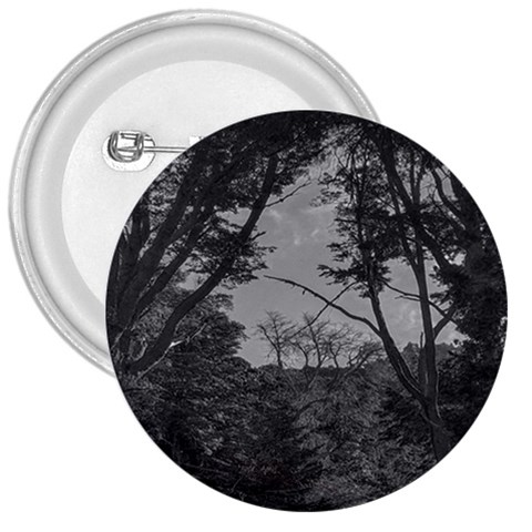 Patagonia Forest, Nahuel Huapi National Park, Rio Negro, Argentina 3  Buttons from ArtsNow.com Front