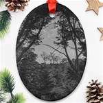 Patagonia Forest, Nahuel Huapi National Park, Rio Negro, Argentina Ornament (Oval)