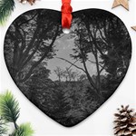 Patagonia Forest, Nahuel Huapi National Park, Rio Negro, Argentina Ornament (Heart)