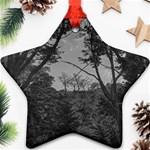 Patagonia Forest, Nahuel Huapi National Park, Rio Negro, Argentina Ornament (Star)