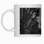 Patagonia Forest, Nahuel Huapi National Park, Rio Negro, Argentina White Mug