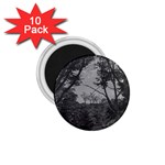 Patagonia Forest, Nahuel Huapi National Park, Rio Negro, Argentina 1.75  Magnets (10 pack) 