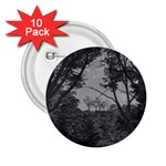 Patagonia Forest, Nahuel Huapi National Park, Rio Negro, Argentina 2.25  Buttons (10 pack) 