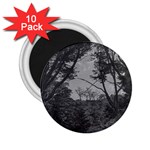 Patagonia Forest, Nahuel Huapi National Park, Rio Negro, Argentina 2.25  Magnets (10 pack) 