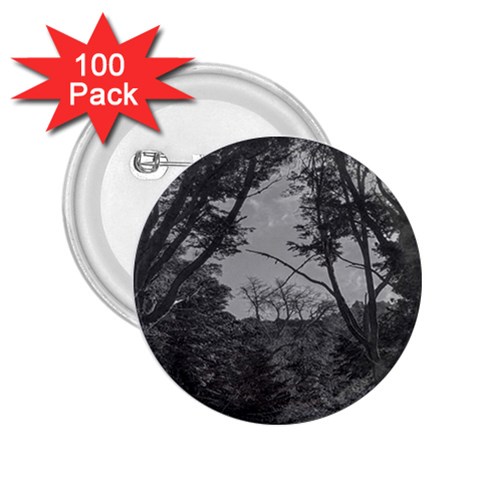 Patagonia Forest, Nahuel Huapi National Park, Rio Negro, Argentina 2.25  Buttons (100 pack)  from ArtsNow.com Front