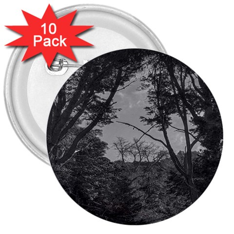 Patagonia Forest, Nahuel Huapi National Park, Rio Negro, Argentina 3  Buttons (10 pack)  from ArtsNow.com Front