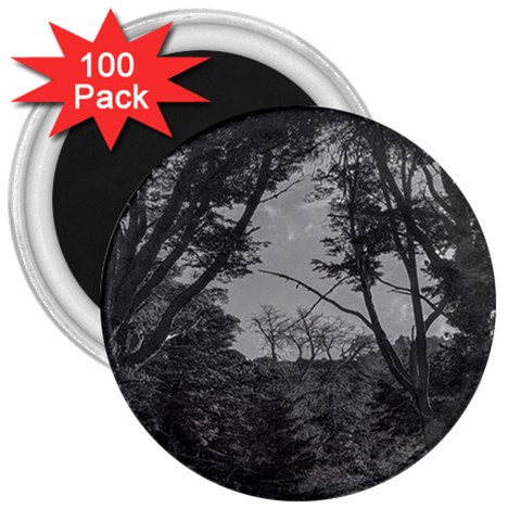 Patagonia Forest, Nahuel Huapi National Park, Rio Negro, Argentina 3  Magnets (100 pack) from ArtsNow.com Front