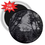 Patagonia Forest, Nahuel Huapi National Park, Rio Negro, Argentina 3  Magnets (100 pack)