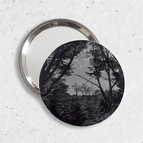 Patagonia Forest, Nahuel Huapi National Park, Rio Negro, Argentina 2.25  Handbag Mirrors from ArtsNow.com Front