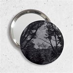 Patagonia Forest, Nahuel Huapi National Park, Rio Negro, Argentina 2.25  Handbag Mirrors