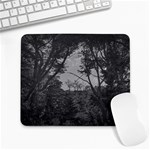 Patagonia Forest, Nahuel Huapi National Park, Rio Negro, Argentina Large Mousepad