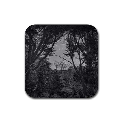 Patagonia Forest, Nahuel Huapi National Park, Rio Negro, Argentina Rubber Coaster (Square) from ArtsNow.com Front