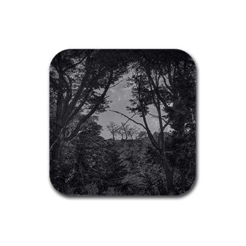 Patagonia Forest, Nahuel Huapi National Park, Rio Negro, Argentina Rubber Square Coaster (4 pack) from ArtsNow.com Front