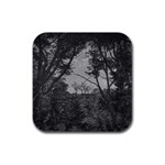 Patagonia Forest, Nahuel Huapi National Park, Rio Negro, Argentina Rubber Square Coaster (4 pack)