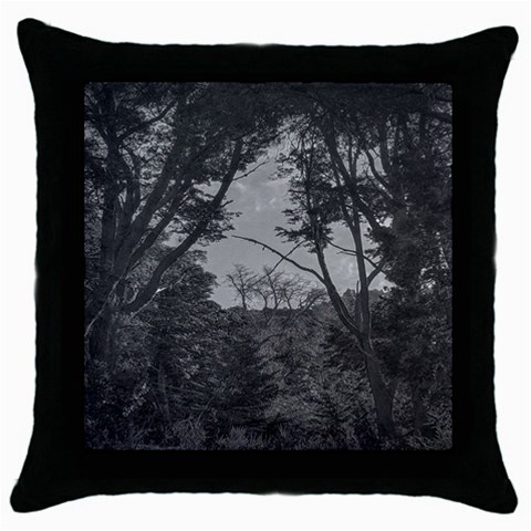 Patagonia Forest, Nahuel Huapi National Park, Rio Negro, Argentina Throw Pillow Case (Black) from ArtsNow.com Front