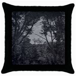 Patagonia Forest, Nahuel Huapi National Park, Rio Negro, Argentina Throw Pillow Case (Black)