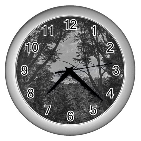 Patagonia Forest, Nahuel Huapi National Park, Rio Negro, Argentina Wall Clock (Silver) from ArtsNow.com Front