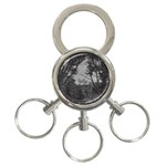 Patagonia Forest, Nahuel Huapi National Park, Rio Negro, Argentina 3-Ring Key Chain